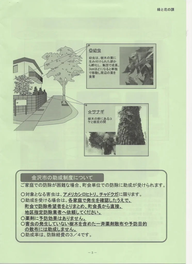 kj_0517